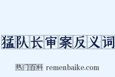 猛队长审案反义词是什么意思的图片